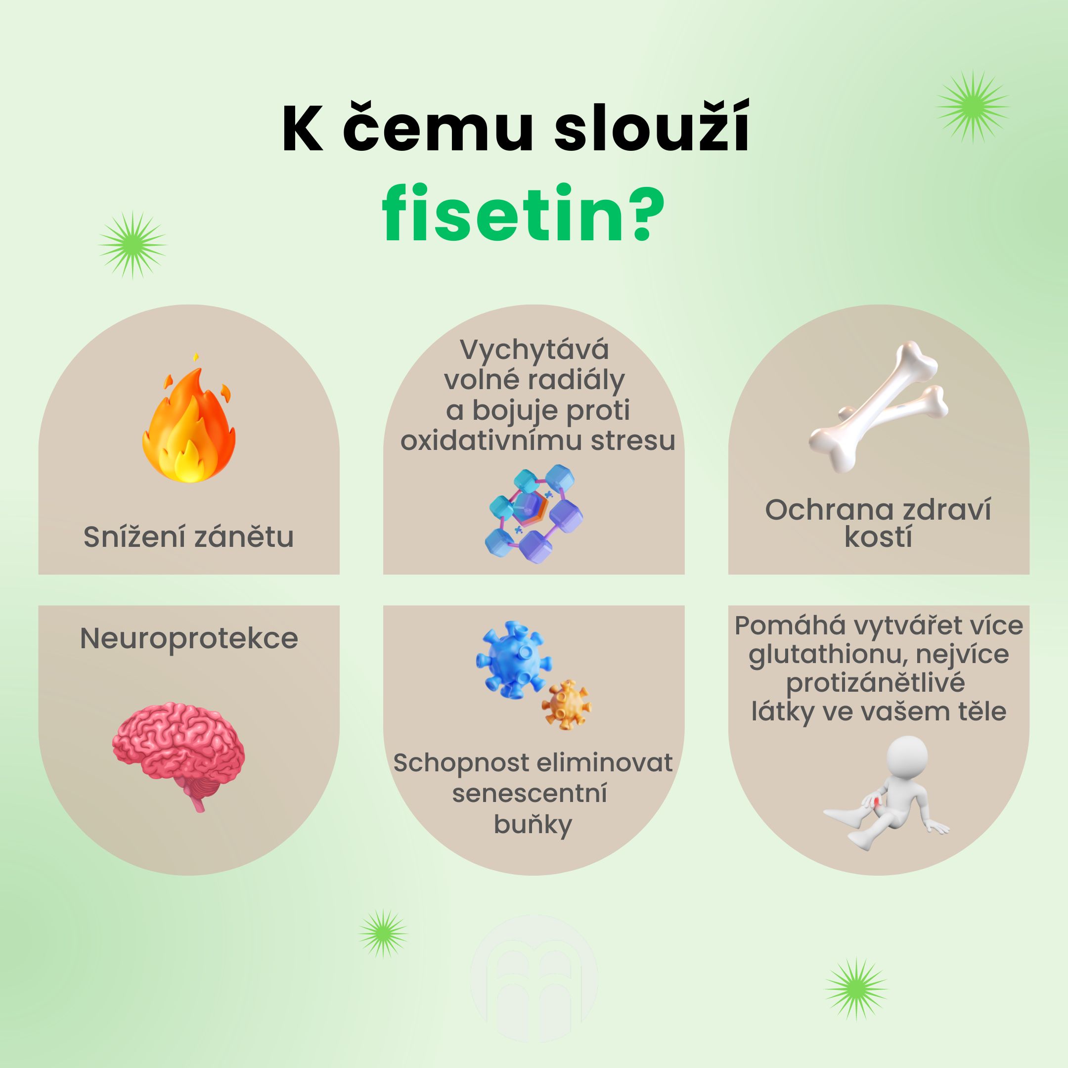 K čemu slouží fisetin